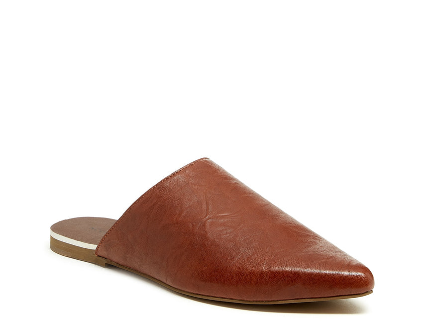 Pointy Mule for Women